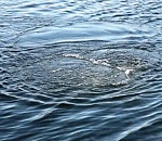 Вечером под Астраханью утонул рыбак