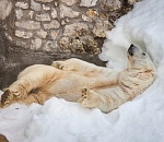 Завтра на Астрахань снизойдет благодать