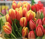 В этом году на цветы и подарки к 8 марта астраханцы потратили больше денег, чем в прошлом