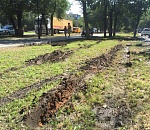 Администрация Астрахани потребует возмещения ущерба с таксиста