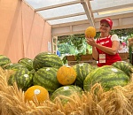 Первая сельскохозяйственная ярмарка в этом году приглашает всех