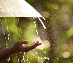 Жара, ливни: каким будет май в Астрахани 