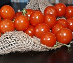 Астрахань нарастила объем переработки овощей