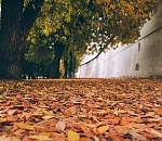 Завтра в Астрахани - последний теплый день