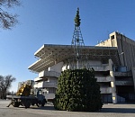Стало известно, когда в Астрахани установят главную городскую ёлку