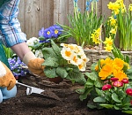 В Астрахани школьники и студенты соревнуются в умении облагораживать территорию