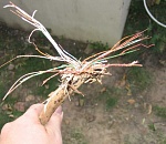 Двое астраханцев оставили жителей шести домов без интернета