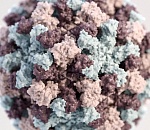 1234 новых случая коронавируса выявлено в Астраханской области за неделю, семеро скончались