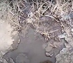 В астраханском селе из-под земли забил источник чистейшей питьевой воды