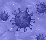 Число подтверждённых случаев коронавируса в Астраханской области перевалило за три тысячи