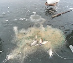  Зимовальные ямы в Астраханской области планируют тщательно охранять