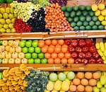 Здесь будет город-сад. Как в Астраханской области возрождали фруктовые сады