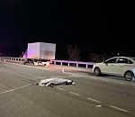 Ночью на правобережье Астрахани автофура смертельно сбила мужчину, переходившего дорогу в неположенном месте