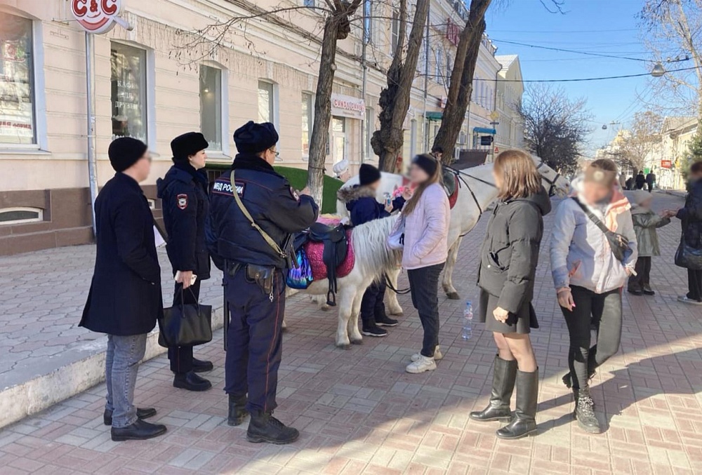 В Астрахани оштрафовали владельцев лошадей, катающих детей в центре города