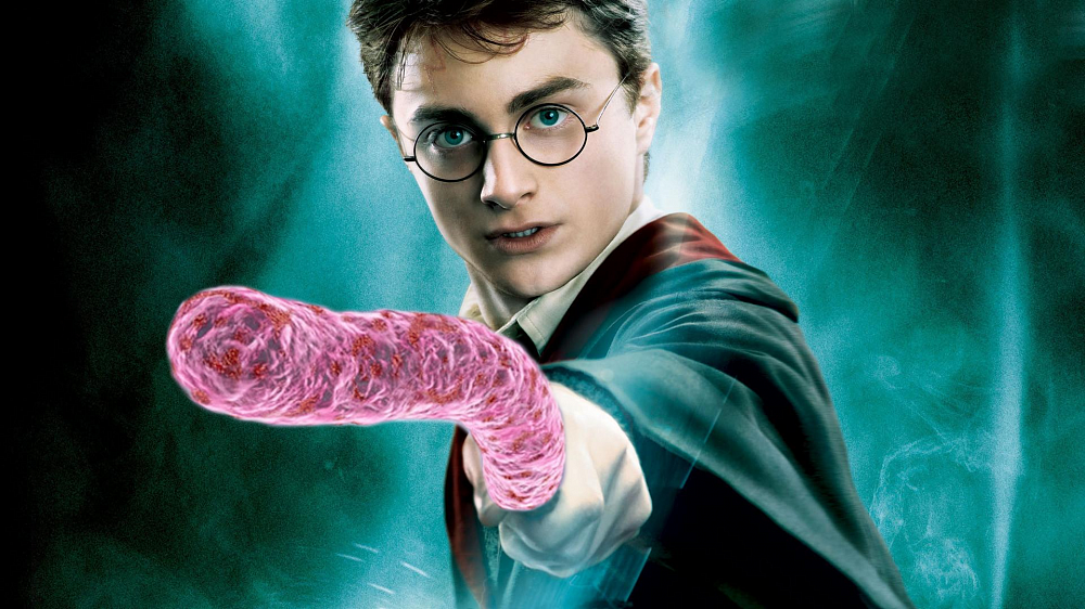 Гарри Поттер и палочка Коха