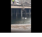 Взял у папы покататься. Известны подробности утреннего ДТП, в котором машина вылетела в реку(ВИДЕО)