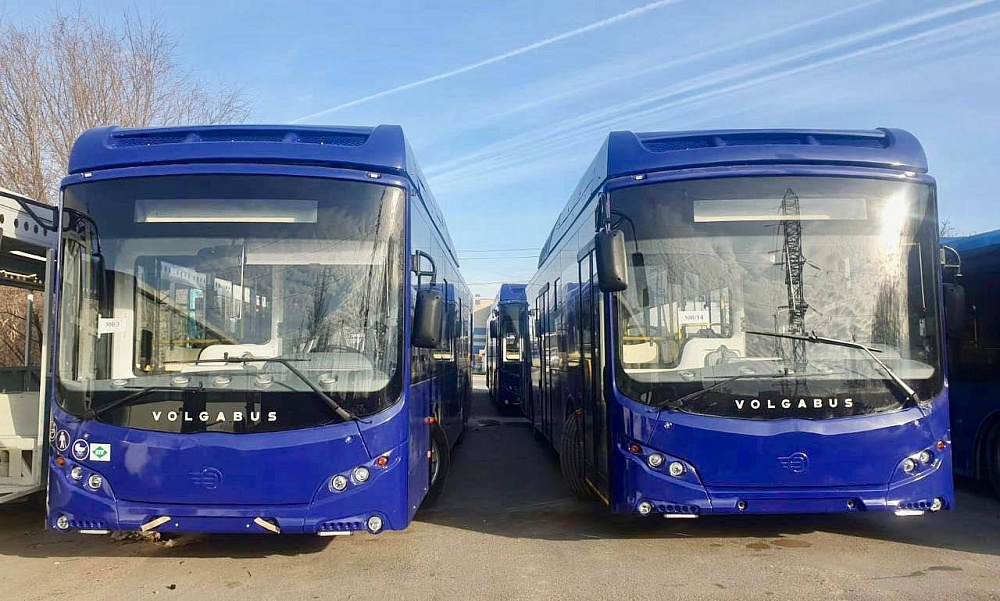 Есть вакансии: для работы на синих автобусах в Астрахани требуются сотрудники