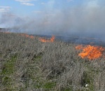 МЧС предупреждает астраханцев о высокой пожароопасности пятого класса