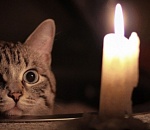 Более 50 улиц Астрахани сегодня останутся без света