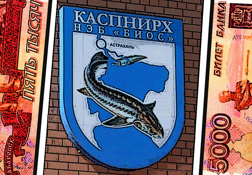 Наука в режиме premium. За какие деньги работают астраханские ученые и их начальники