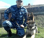 В Астрахани собака нашла убийцу, остановившись у его квартиры