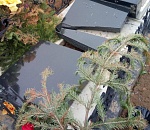 Вандалы устроили беспредел на астраханском кладбище