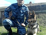 В Астрахани собака нашла убийцу, остановившись у его квартиры