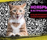 Астрахань. Итоги ноября-2021. В ТЦ не пускают, в кафе избивают