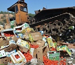 Астраханские пограничники уничтожили 30 тонн санкционной продукции