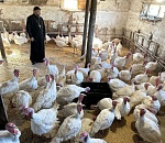 В Астраханской области появилась первая церковная ферма