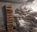 В Астраханской области обнаружили подпольный цех с тоннами рыбы