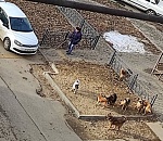 Астраханские водители не уважают общество слепых?