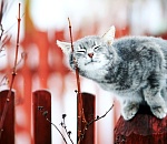 Завтра в Астраханской области весна, наконец, вытеснит зиму и установит плюс на  весь день