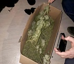 Астраханец хранил дома 2,5 кг наркотиков