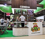 Новые сорта овощей выращивают в Астраханской области