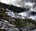 Завтра в Астраханской области осадки придутся на  ночь, а дню достанется немного больше тепла