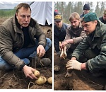 Илон Маск, Бред Питт и Ди Каприо приехали в Астрахань на картошку