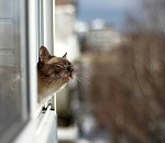 Запахло весной: 1 апреля в Астрахани тепло и солнечно