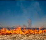 Спасатели предупредили астраханцев о чрезвычайной пожароопасности 