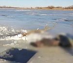 В селе Житное утонул рыбак, тело нашли в 40 метрах от места лова