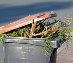 Стало известно, как подорожает мусор для астраханцев в 2022 году