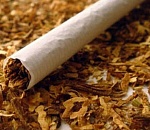 Тонны сомнительного табака не пропустили через Астраханскую область 