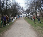 В Астраханской области активисты высадили 6 тысяч саженцев