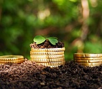 Астраханская область направит на поддержку АПК 1 млрд руб 