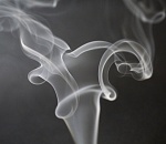 Пограничники задержали 17 тонн контрабандного табака из Казахстана