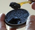 Житель Волгограда нашел в Астрахани банки с черной икрой