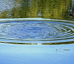 В Астрахани утонул подвыпивший мужчина