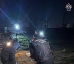 В Астрахани животные обглодали труп женщины