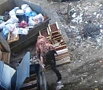 В Астрахани за сброс мусора в неположенном месте жестко штрафуют и водителей автомобилей