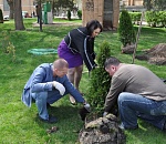 Астраханские депутаты высадили саженцы, приобретенные за свой счет
